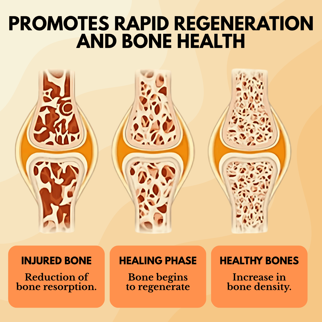 JointCare™ - Pain Relief Joint Patches (Pack of 10 Patches)