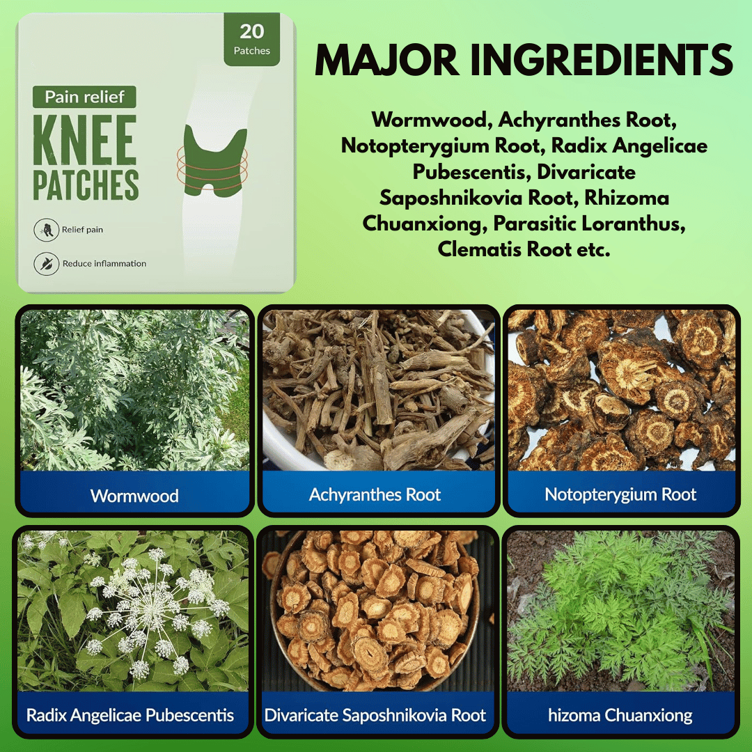 Painshield™ Knee Patches